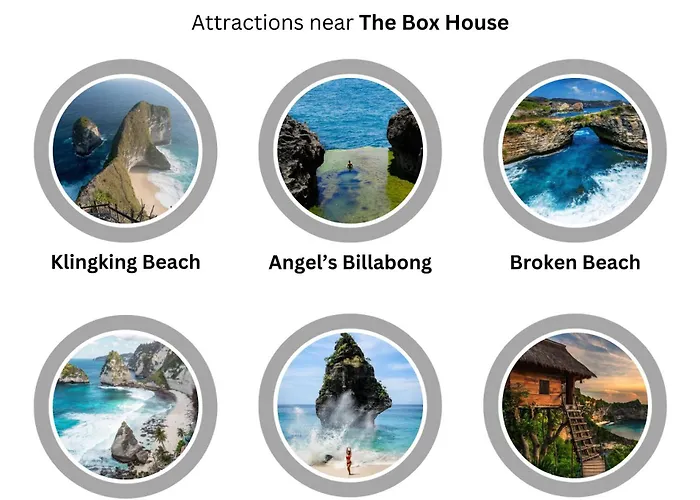 The Box House