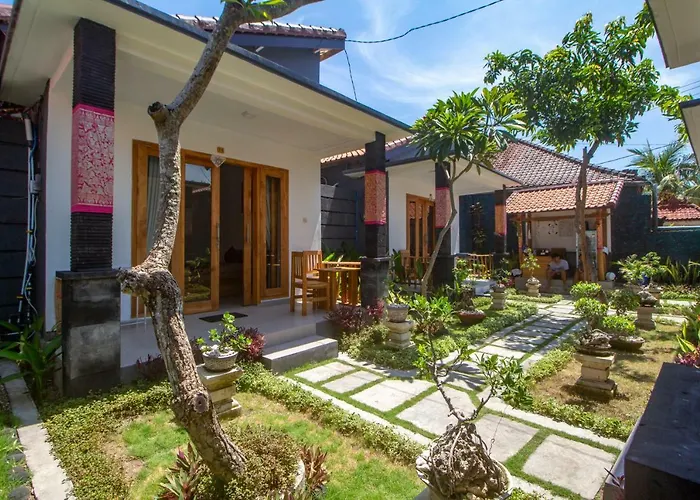 The Box House